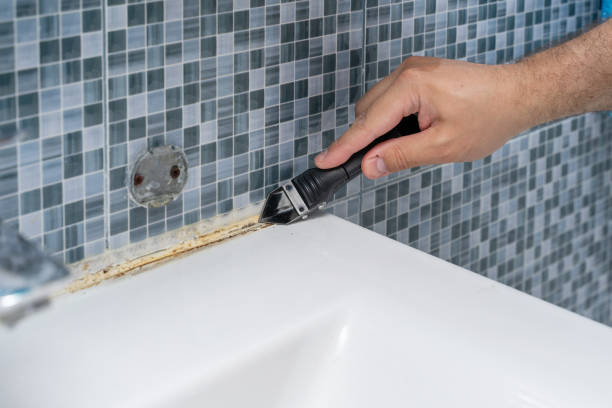 Best Mold Testing  in Neuse Forest, NC